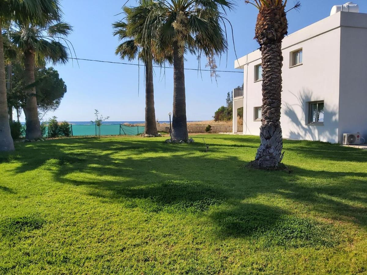 Argaka Palm Tree Apts מראה חיצוני תמונה