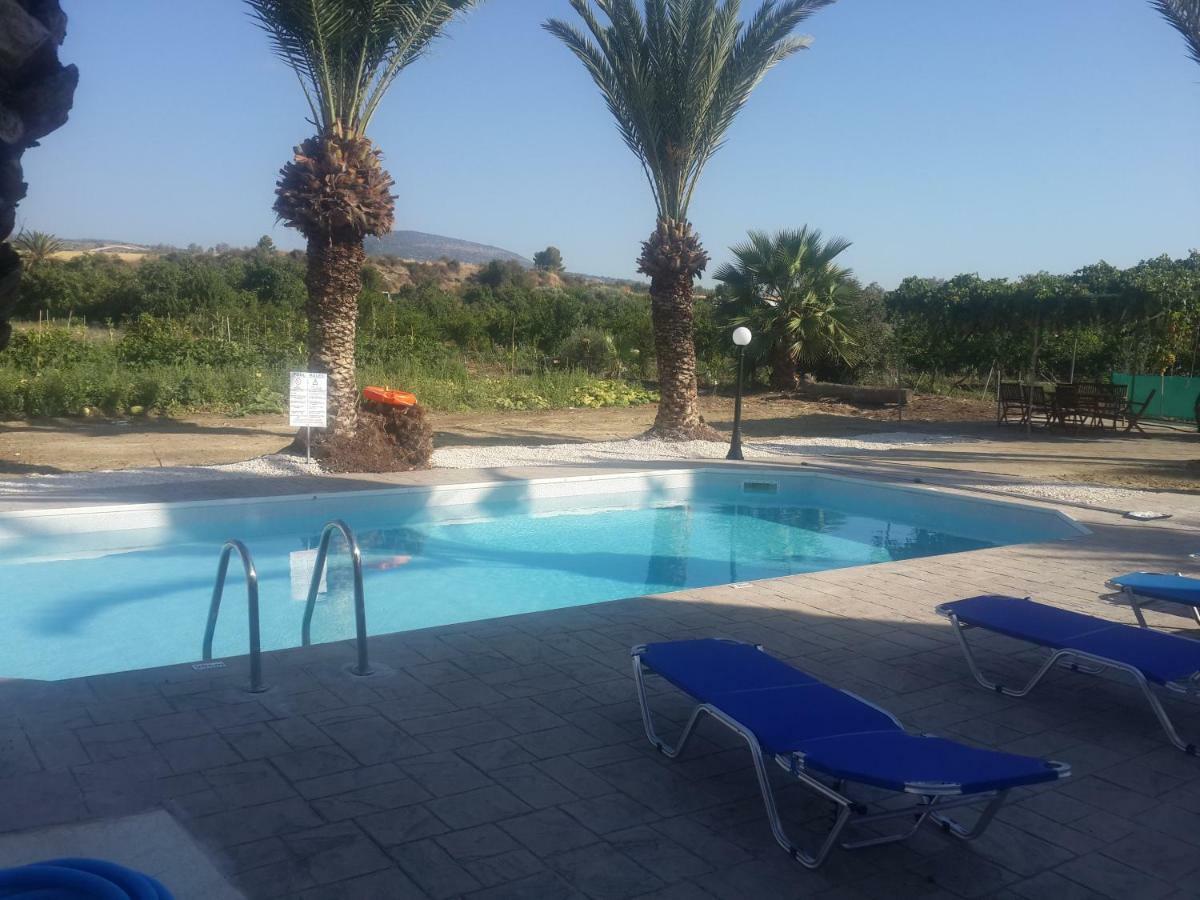 Argaka Palm Tree Apts מראה חיצוני תמונה